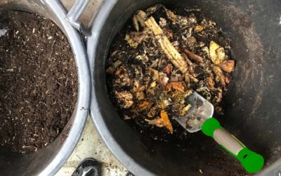 Urban…composting?